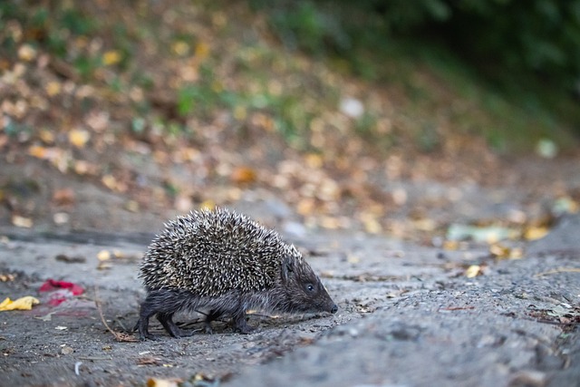 更是一个激 更是一个激