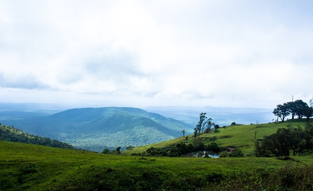 如何迎接挑 如何迎接挑