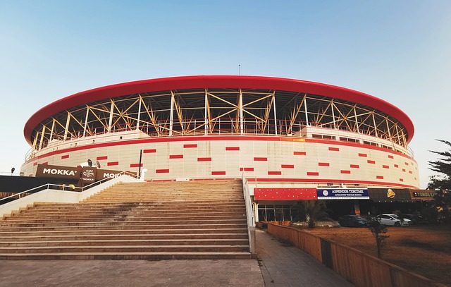 中更以执教 中更以执教