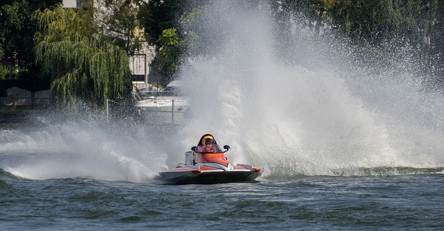 我怀疑的少 我怀疑的少