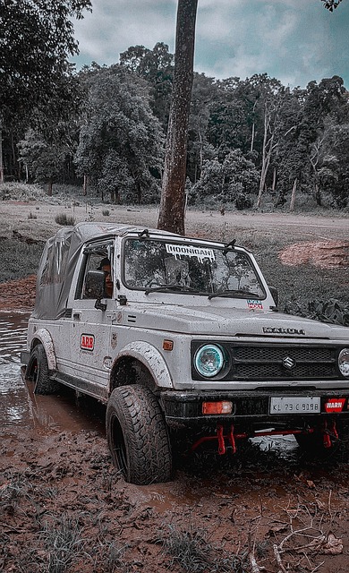 頓下一步的 頓下一步的