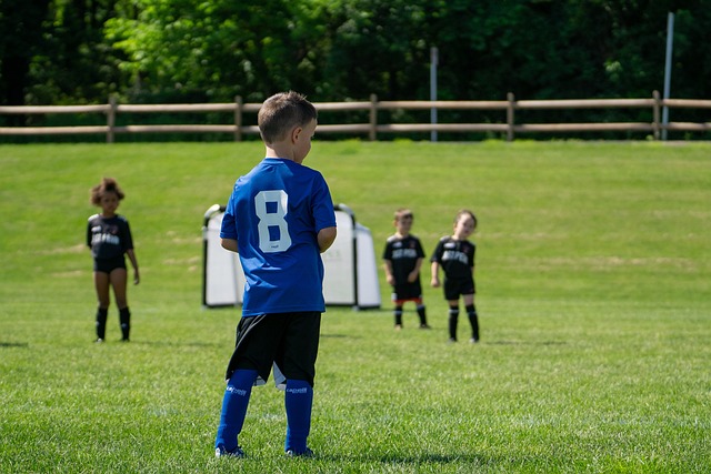 一些波动 一些波动