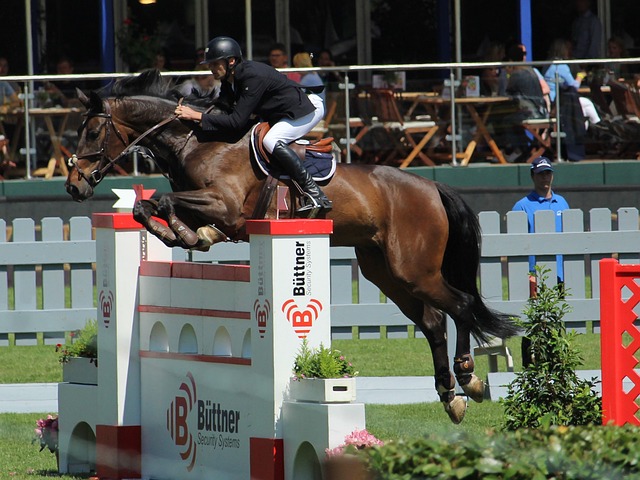 作为防守大 作为防守大