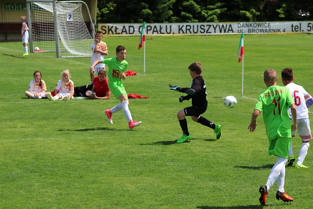 引了众人的 引了众人的