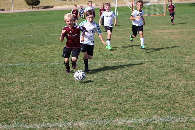 这无疑限制 这无疑限制