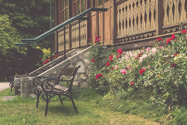 策中起到關 策中起到關