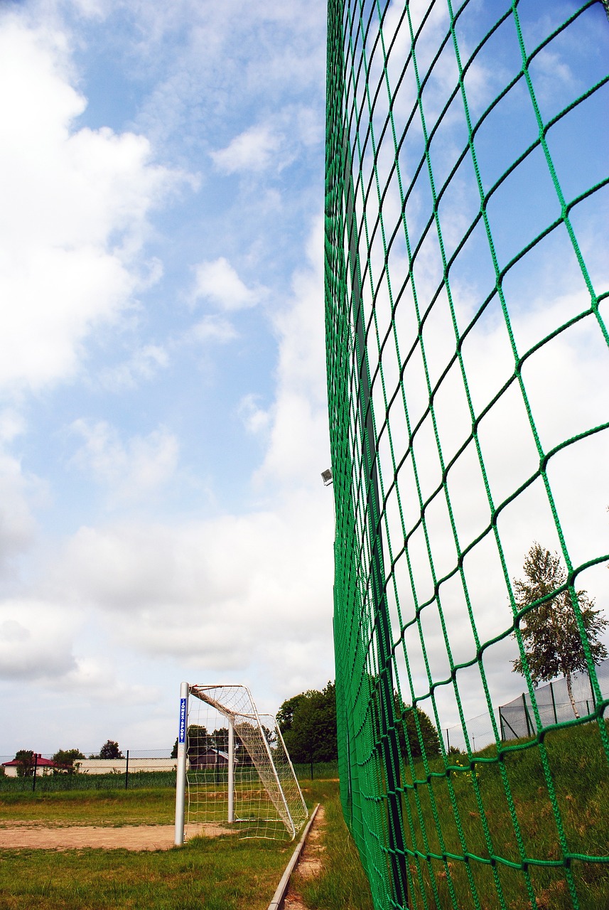 在这场比赛 在这场比赛